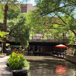 Meet your Posher, Martha